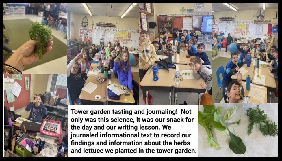 KES students learn about the tower garden and tastings